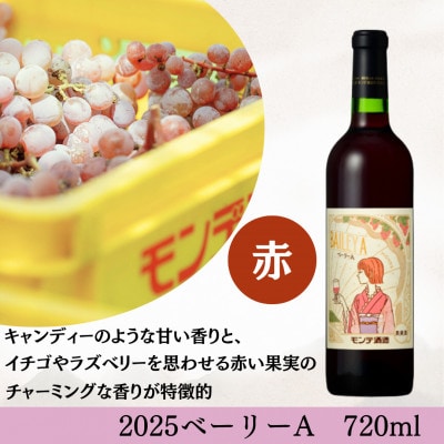 【2025年新酒ワイン】甲州・べーリーA　2本セット(各720ml)　★オビワンさんデザインラベル★