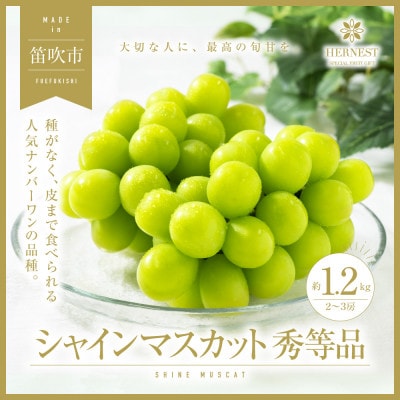 【先行受付】山梨県笛吹市産　旬の採れたてシャインマスカット　秀等品　約1.2kg　2房～3房