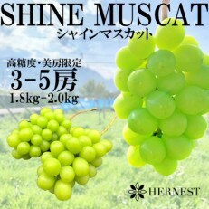 【先行受付】山梨県笛吹市のシャインマスカット　約1.8kg(3房～5房) | ふるさと納税のお礼品