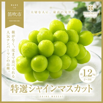 【先行受付】山梨県笛吹市産　旬の採れたてシャインマスカット　特選　約1.2kg　2房～3房