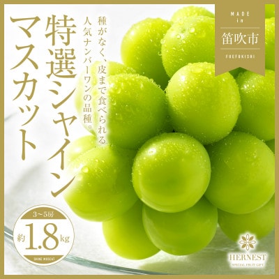 【先行受付】山梨県笛吹市産　旬の採れたてシャインマスカット　特選　約1.8kg　3房～5房