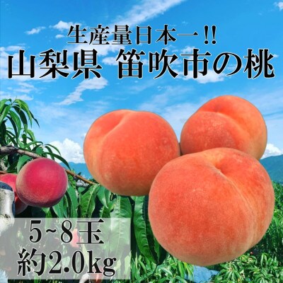 笛吹市産高糖度桃【5~8玉】約2kg