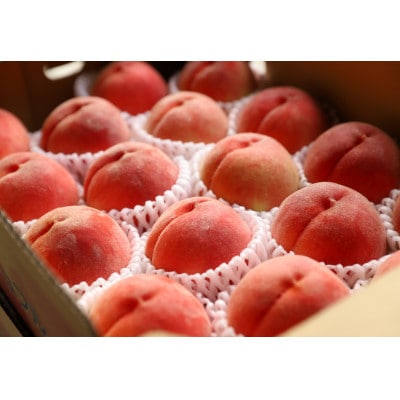 【発送月固定定期便】フルーツギフト専門店が選ぶ笛吹市の厳選フルーツ定期便全3回