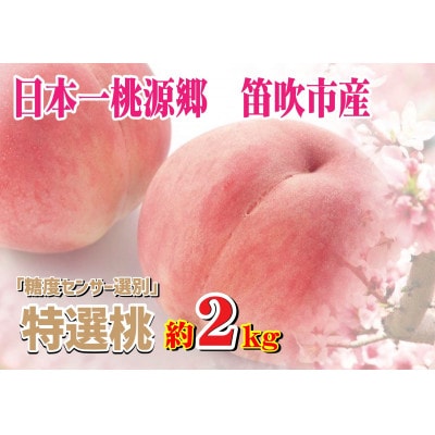 【糖度センサー選別】桃7～8個　約2kg