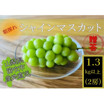 贈答★生産者直送!山梨県笛吹市産!シャインマスカット　1.3kg以上(2房)