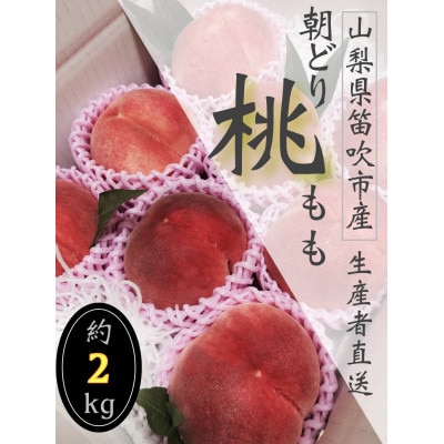 生産者直送!山梨県笛吹市産地!桃　約2kg(4～8玉)