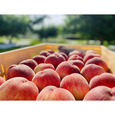 生産者直送!山梨県笛吹市産地!桃　約2kg(4～8玉)