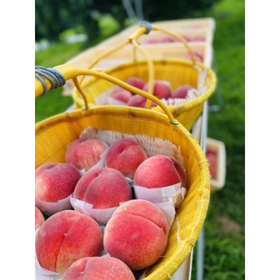 生産者直送!山梨県笛吹市産地!桃　約2kg(4～8玉)