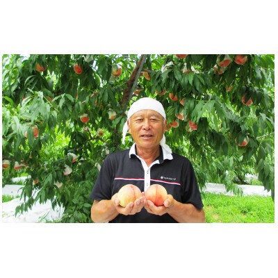 山梨一宮産 桃 約2kg(5~8玉)産直朝採り