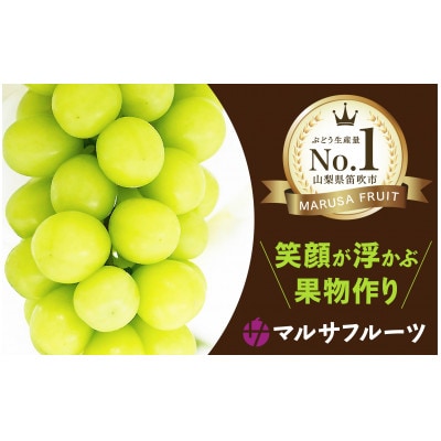 シャインマスカット　約1.2kg以上(2～3房入)朝採り産地直送