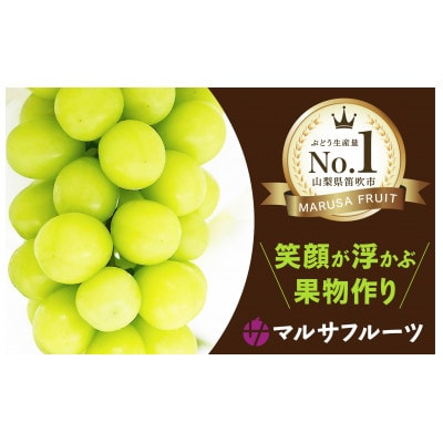 【先行受付】シャインマスカット　約2.5kg(3～5房)朝採り産地直送