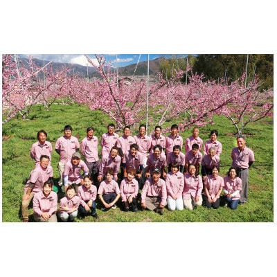 山梨一宮産　【固い桃】　約2.0kg　産直朝採り