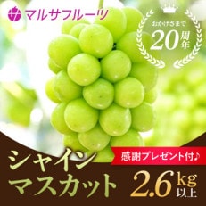 山梨県笛吹市,ぶどう・マスカットのお礼品・返礼品一覧 | ふるさと納税