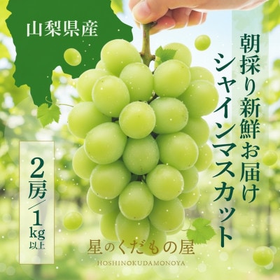 【2026年発送】星のくだもの屋　シャインマスカット2房(1kg以上)山梨県産