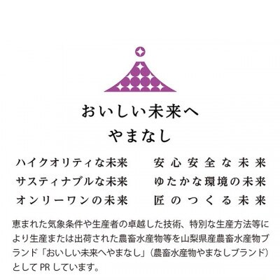 山梨県産種なし巨峰3～4房(約1.5kg)