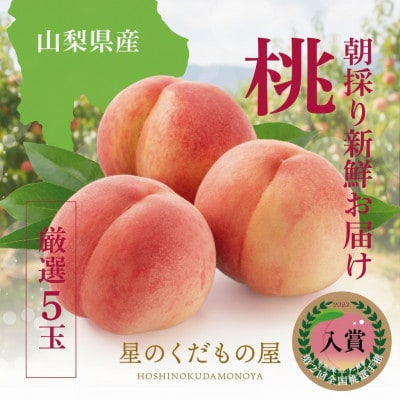 【2026年発送】星のくだもの屋　山梨県産「厳選桃」5玉(1.5kg以上)