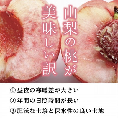 山梨県産「厳選桃」5玉(贈答品)