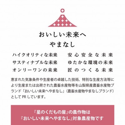 【2026年発送】星のくだもの屋　山梨県産「厳選桃」5玉(1.5kg以上)