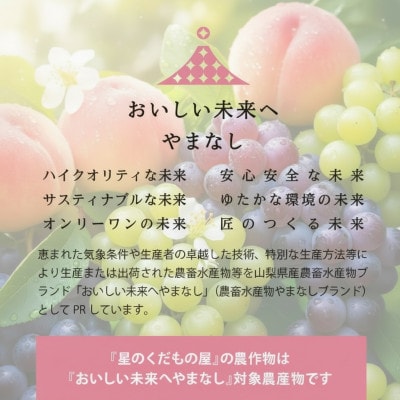 【2026年発送】星のくだもの屋　山梨県産「厳選桃」5玉(1.5kg以上)