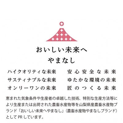 山梨県産「厳選桃」5玉(贈答品)