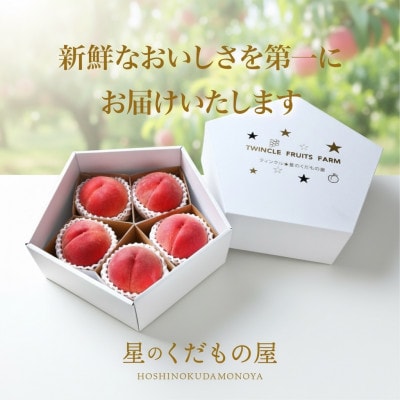 【2026年発送】星のくだもの屋　山梨県産「厳選桃」5玉(1.5kg以上)