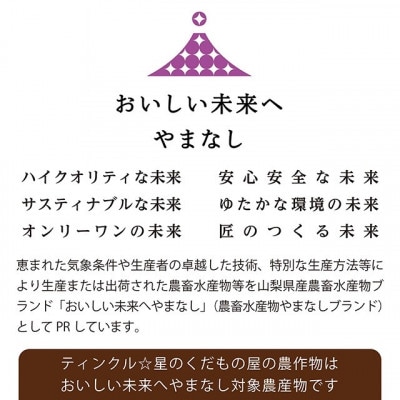 山梨県産種なし巨峰2房(1kg以上)