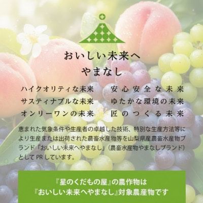 【2026年発送】星のくだもの屋　シャインマスカット2房(1.2kg以上)山梨県産