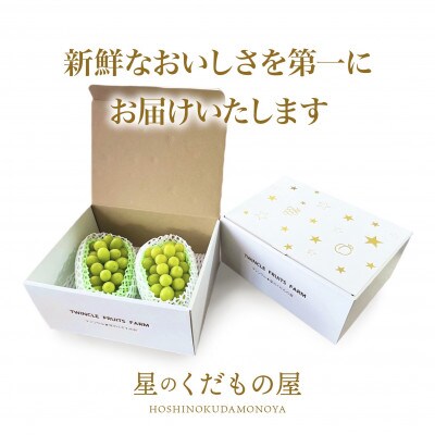 【2026年発送】星のくだもの屋　シャインマスカット2房(1.2kg以上)山梨県産