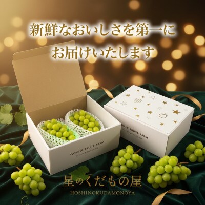 【2026年発送】星のくだもの屋　シャインマスカット2房(1.2kg以上)山梨県産