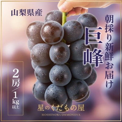 【2026年発送】星のくだもの屋　種なし巨峰2房(1kg以上)山梨県産
