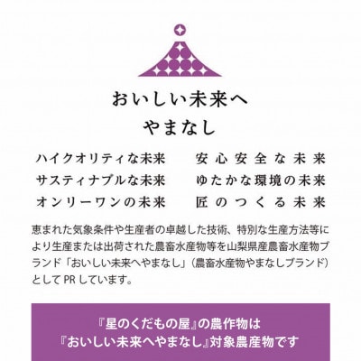 【2026年発送】星のくだもの屋　種なし巨峰2房(1kg以上)山梨県産