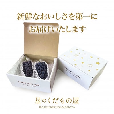 【2026年発送】星のくだもの屋　種なし巨峰2房(1kg以上)山梨県産