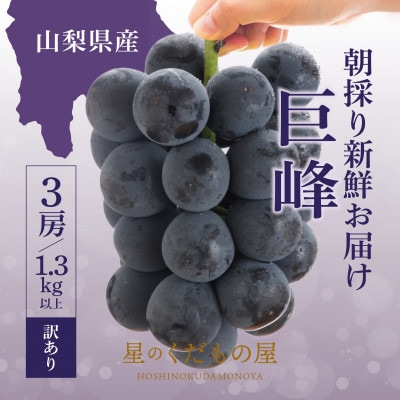 【2026年発送】星のくだもの屋 山梨県産 訳あり種なし巨峰 3房(1.3kg)