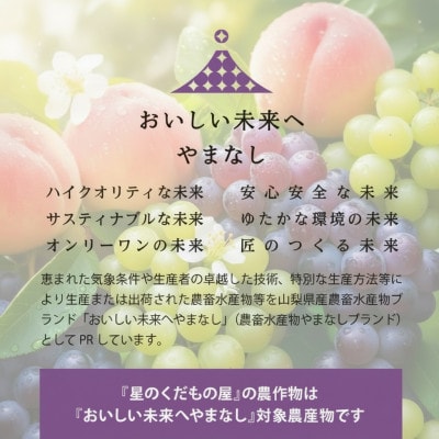 【2026年発送】星のくだもの屋 山梨県産 訳あり種なし巨峰 3房(1.3kg)