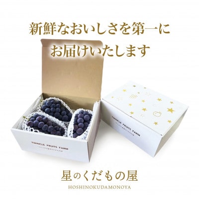 【2026年発送】星のくだもの屋 山梨県産 訳あり種なし巨峰 3房(1.3kg)