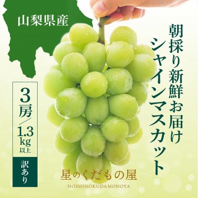 【2026年発送】星のくだもの屋 山梨県産 訳ありシャインマスカット 3房(1.3kg以上)