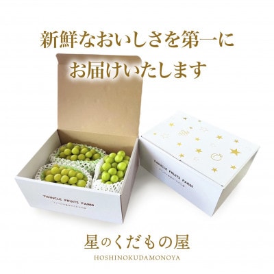 【2026年発送】星のくだもの屋 山梨県産 訳ありシャインマスカット 3房(1.3kg以上)