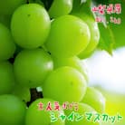 ＜先行受付＞農園直送!濃厚シャインマスカット　約1.2kg(2～4房)