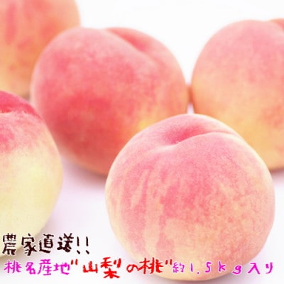 <先行受付>【農家直送】桃名産地「山梨の桃」　秀品　約1.5kg