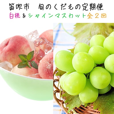 【発送月固定定期便】ふえふき旬のフルーツ定期便(桃・シャインマスカット)【S】全2回