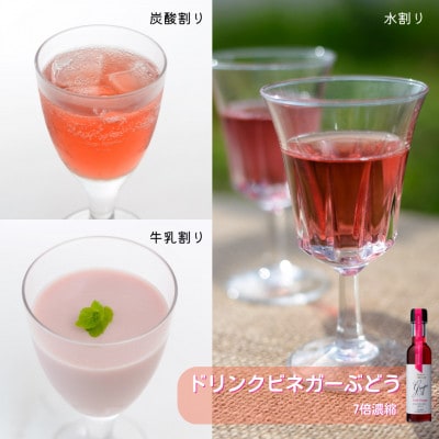 【蔵元直送】プロ御用達!ワインビネガー・バラエティ3本セット≪調味料&飲む酢≫　世界農業遺産認定地域