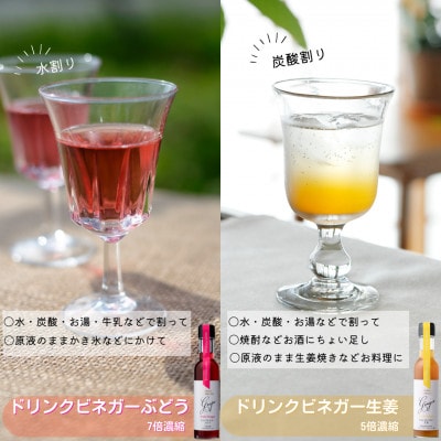【蔵元直送】プロ御用達!ワインビネガー・バラエティ5本セット≪調味料&飲む酢≫ 世界農業遺産認定地域
