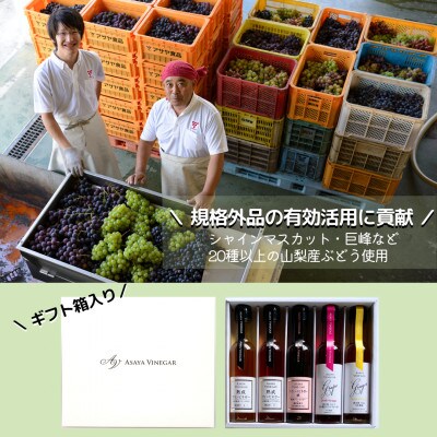 【蔵元直送】プロ御用達!ワインビネガー・バラエティ5本セット≪調味料&飲む酢≫ 世界農業遺産認定地域