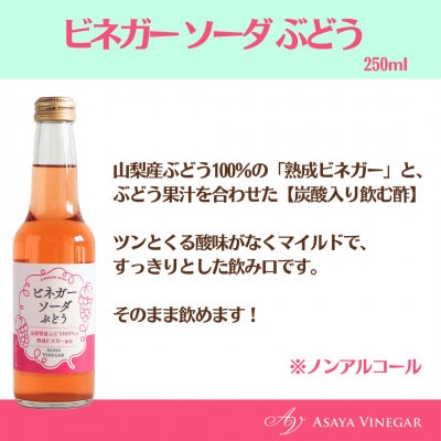 山梨産ぶどう100%の熟成ビネガーで造った!そのまま飲める『ビネガーソーダぶどう24本セット』