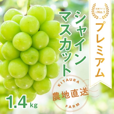 プレミアムシャインマスカット 2房1.4kg 大粒 笛吹市産 朝採り 贈答 北浦ファーム直送