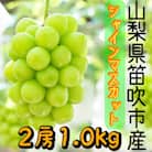 シャインマスカット 2房1.0kg以上 山梨県 笛吹市産 朝採り 北浦ファーム厳選 産地直送