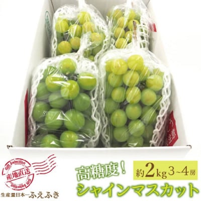 【ふるさと納税】先行受付 厳選!シャインマスカット 約2kg(3～4房) 山梨県笛吹市産