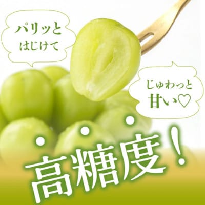【ふるさと納税】先行受付 厳選!シャインマスカット 約2kg(3～4房) 山梨県笛吹市産