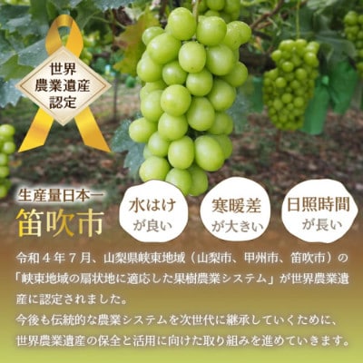 【ふるさと納税】先行受付 厳選!シャインマスカット 約2kg(3～4房) 山梨県笛吹市産