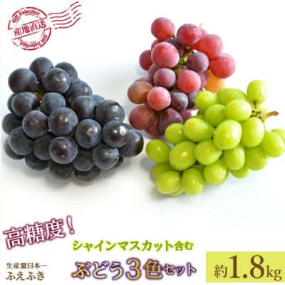 【ふるさと納税】先行受付 厳選!シャインマスカット含む3色セット約1.8kg 山梨県笛吹市産
